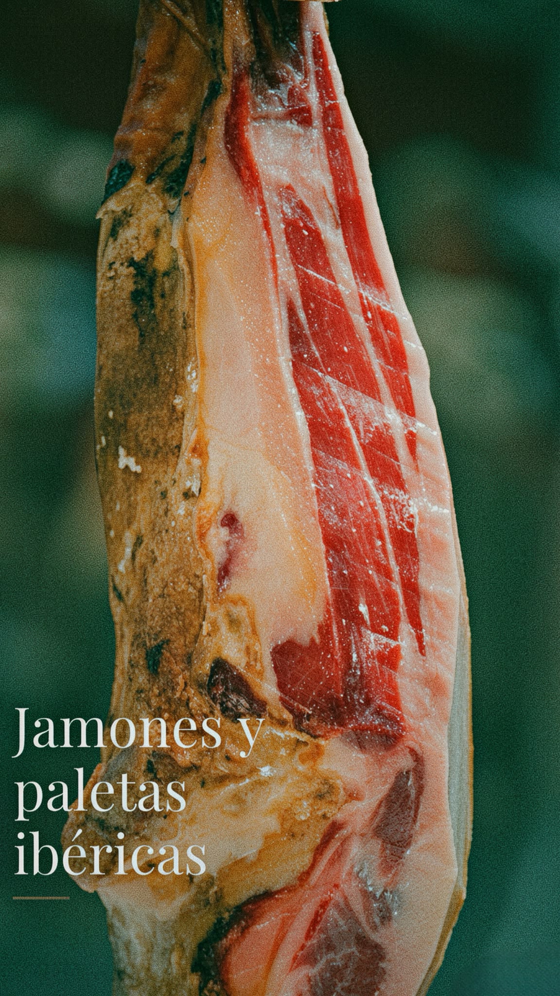 Jamones y paletas ibéricas