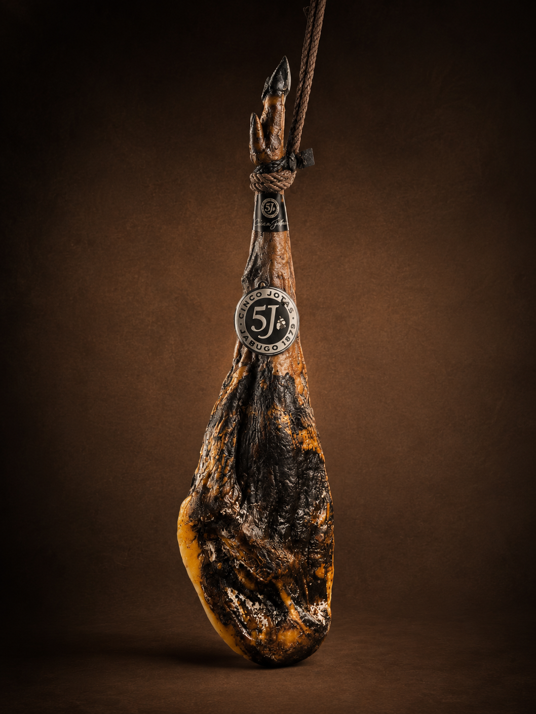 Jamón de bellota 100% ibérico 5 Jotas